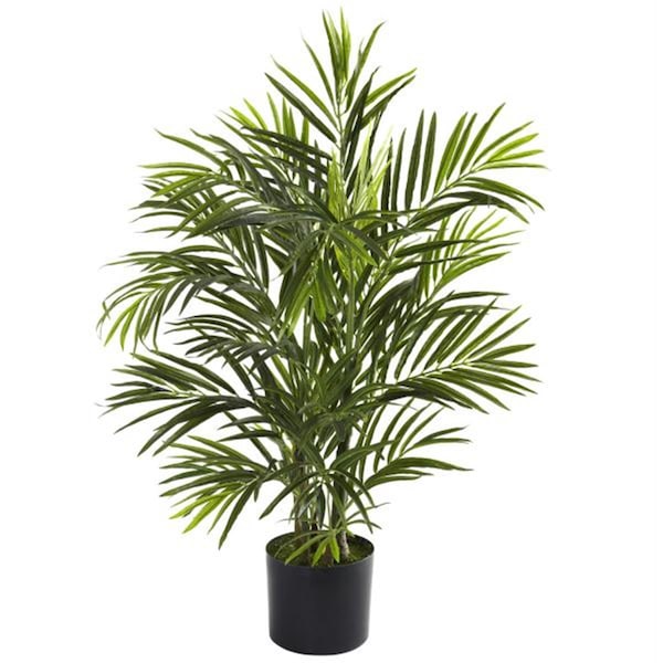 Dare2Decor 2.5 ft. Areca Palm UV Resistant - Indoor-Outdoor DA103106 - main